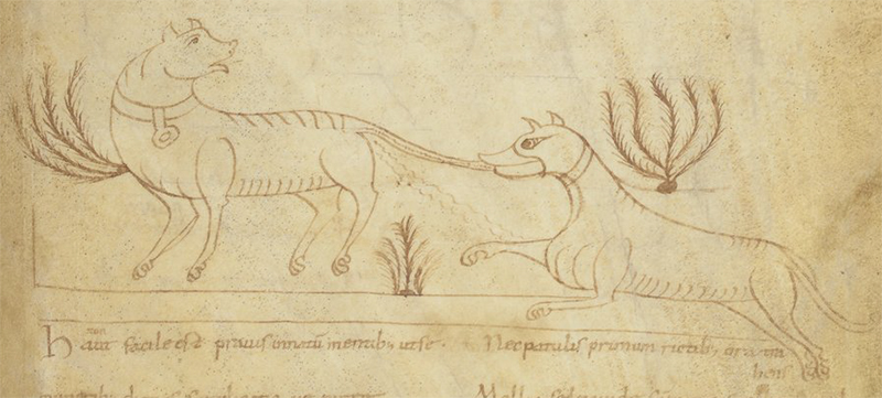 Detail from a medieval bestiary